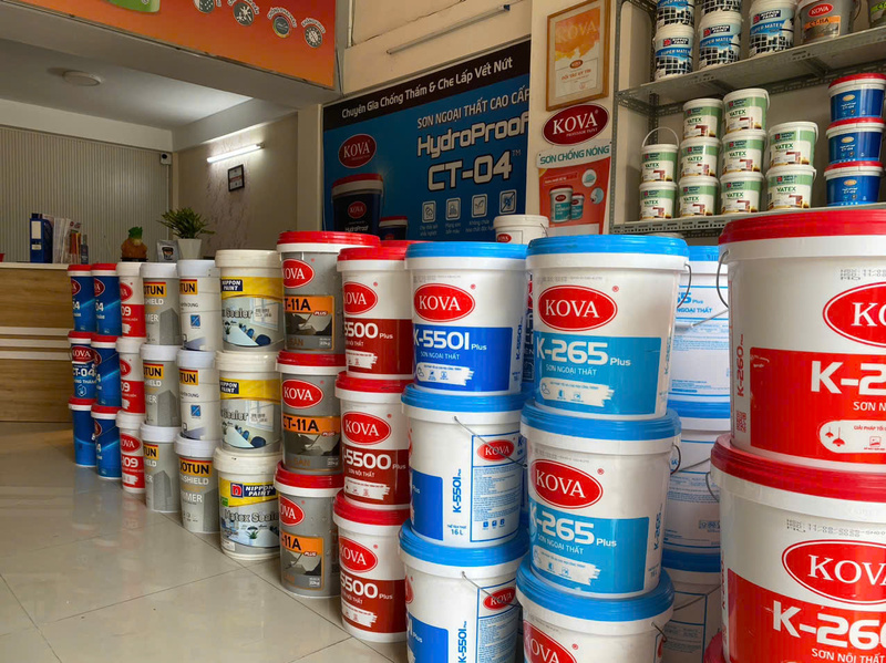 Hình ảnh công ty Đông Nam Việt